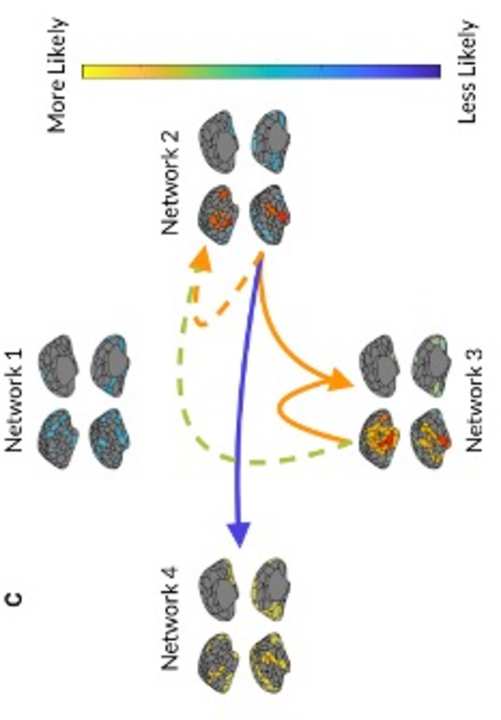 Faber, S.E.M., Belden, A.G., Loui, P。, & McInsosh, 右. (2023). Age-related variability in network engagement during music image