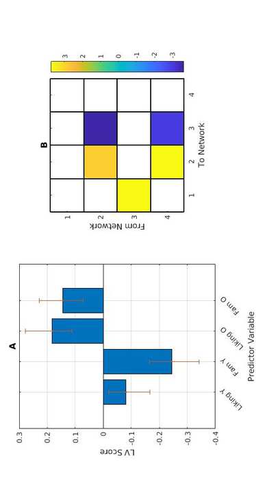 Faber, S.E.M., Belden, A.G., Loui, P。, & McInsosh, 右. (2023). Age-related variability in network engagement during music image