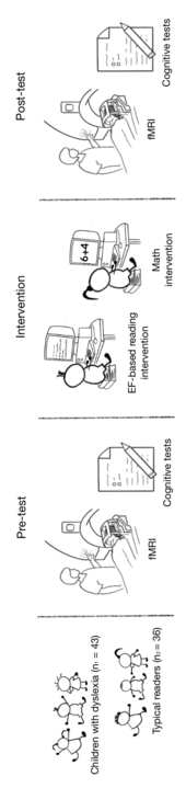 Taran, N。, Farah, R。, Gashri, C。, Gitman, E., Rosch, K., 施拉加尔, B.L. & Horowitz-Kraus, 时间. (2023). Executive functions- 图像