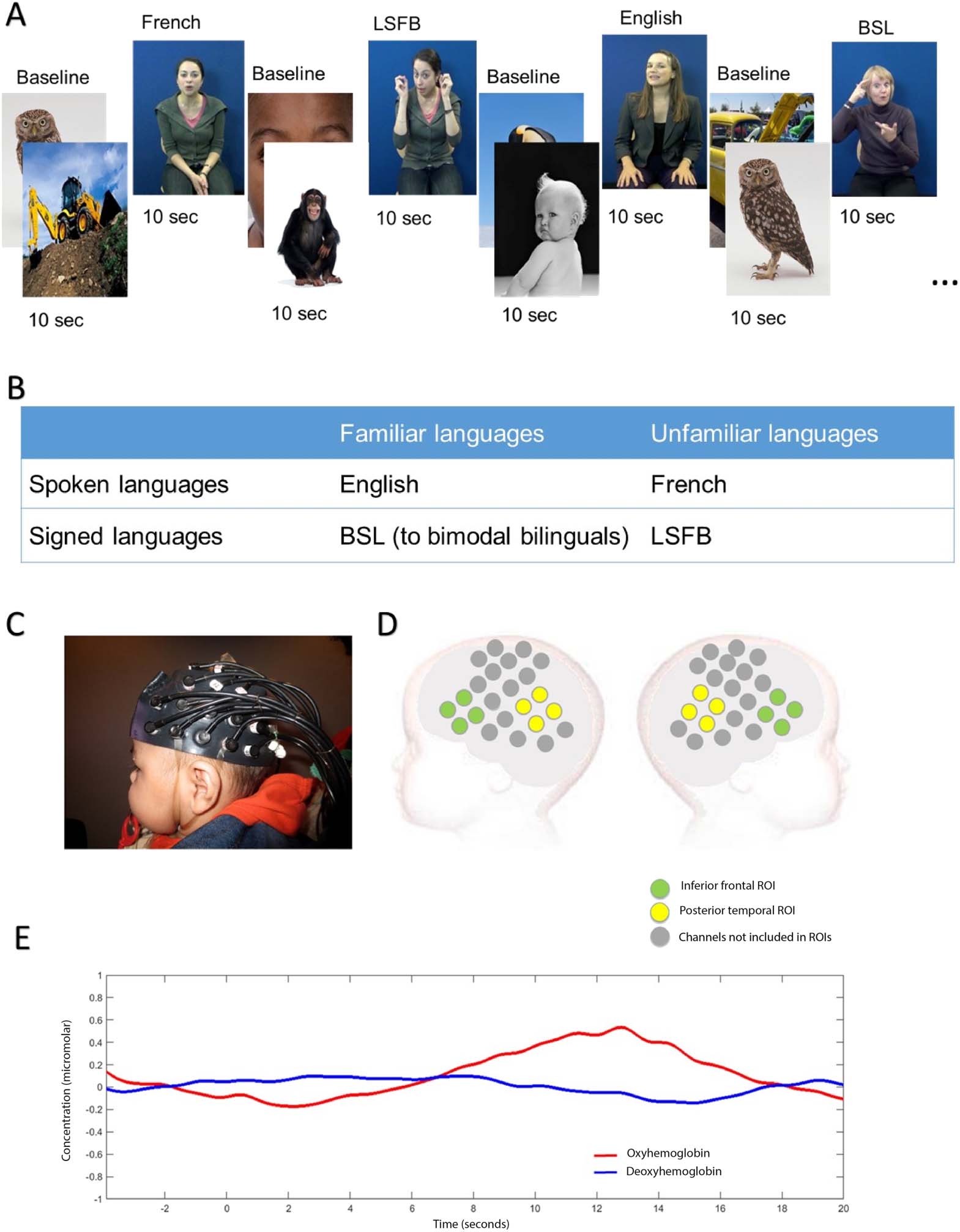 RESEARCH ARTICLE image