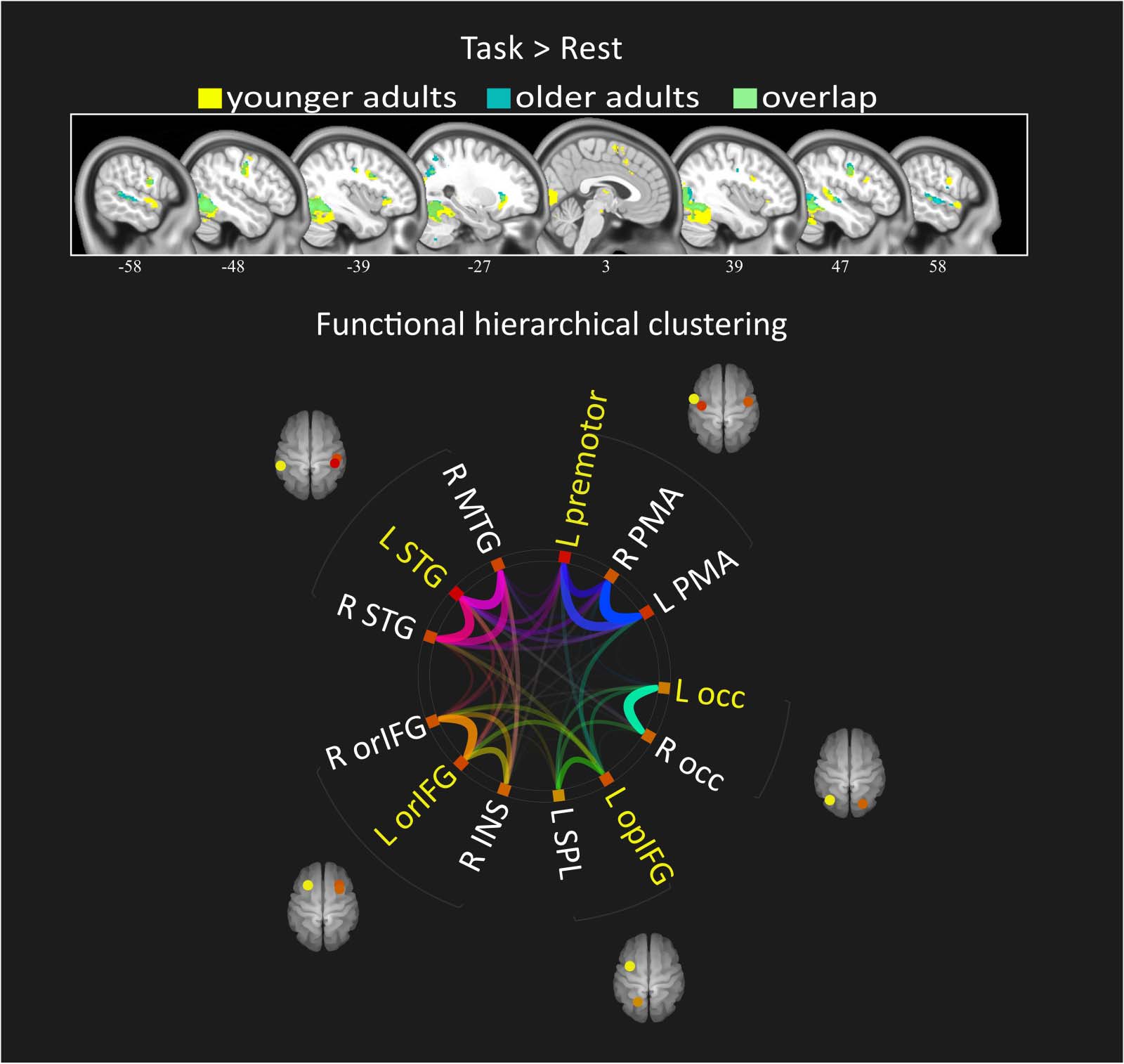 RESEARCH ARTICLE image