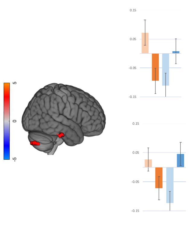 RESEARCH ARTICLE image