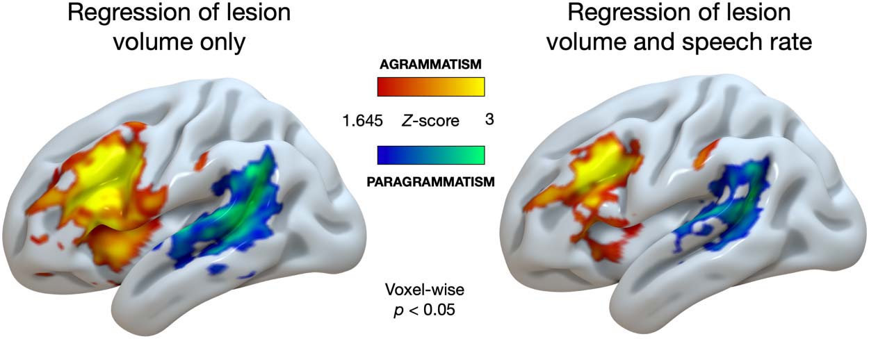 RESEARCH ARTICLE image