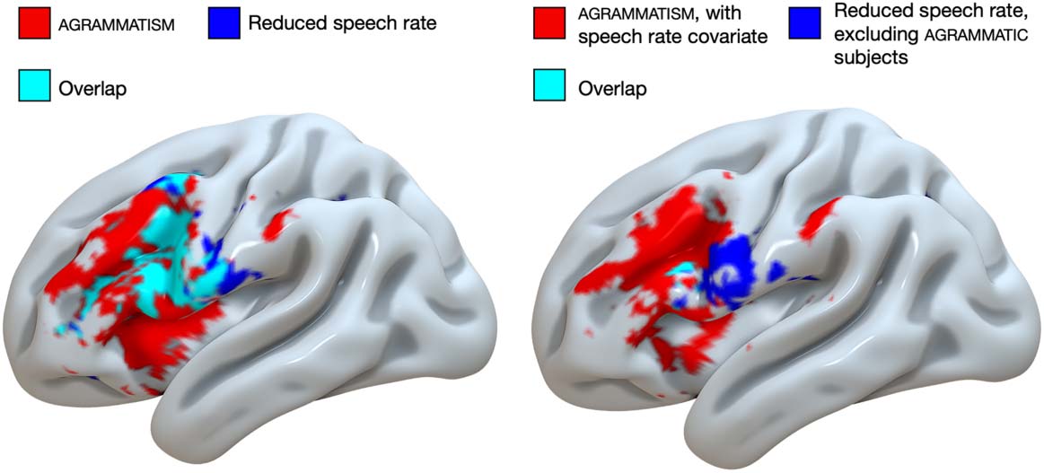 RESEARCH ARTICLE image