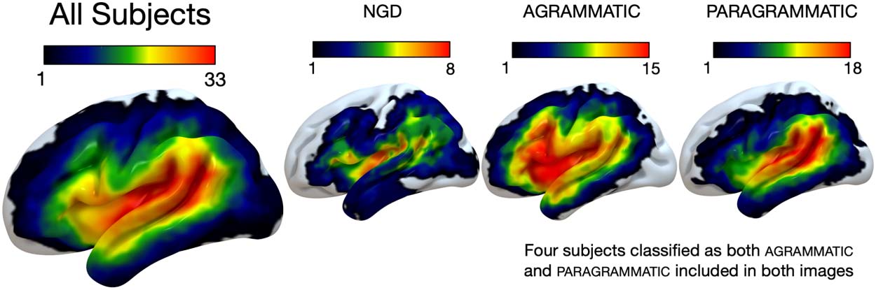 RESEARCH ARTICLE image