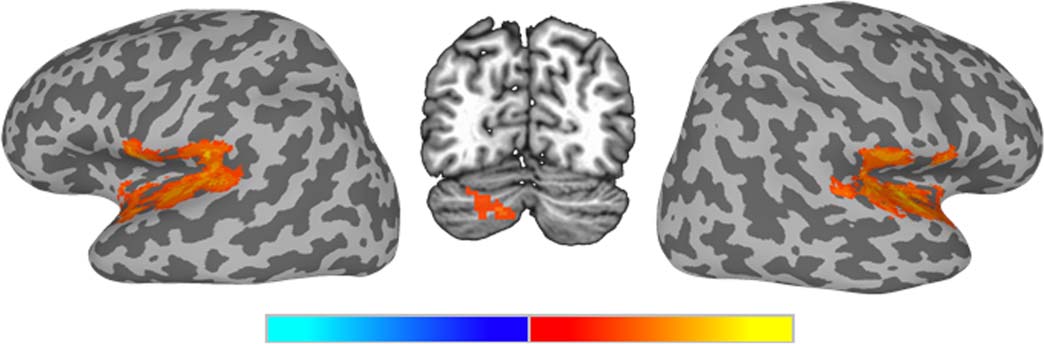 ARTÍCULO DE INVESTIGACIÓN imagen