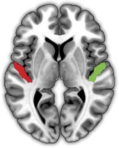 ARTÍCULO DE INVESTIGACIÓN imagen