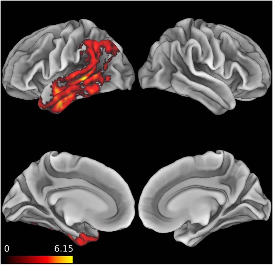 ARTÍCULO DE INVESTIGACIÓN imagen