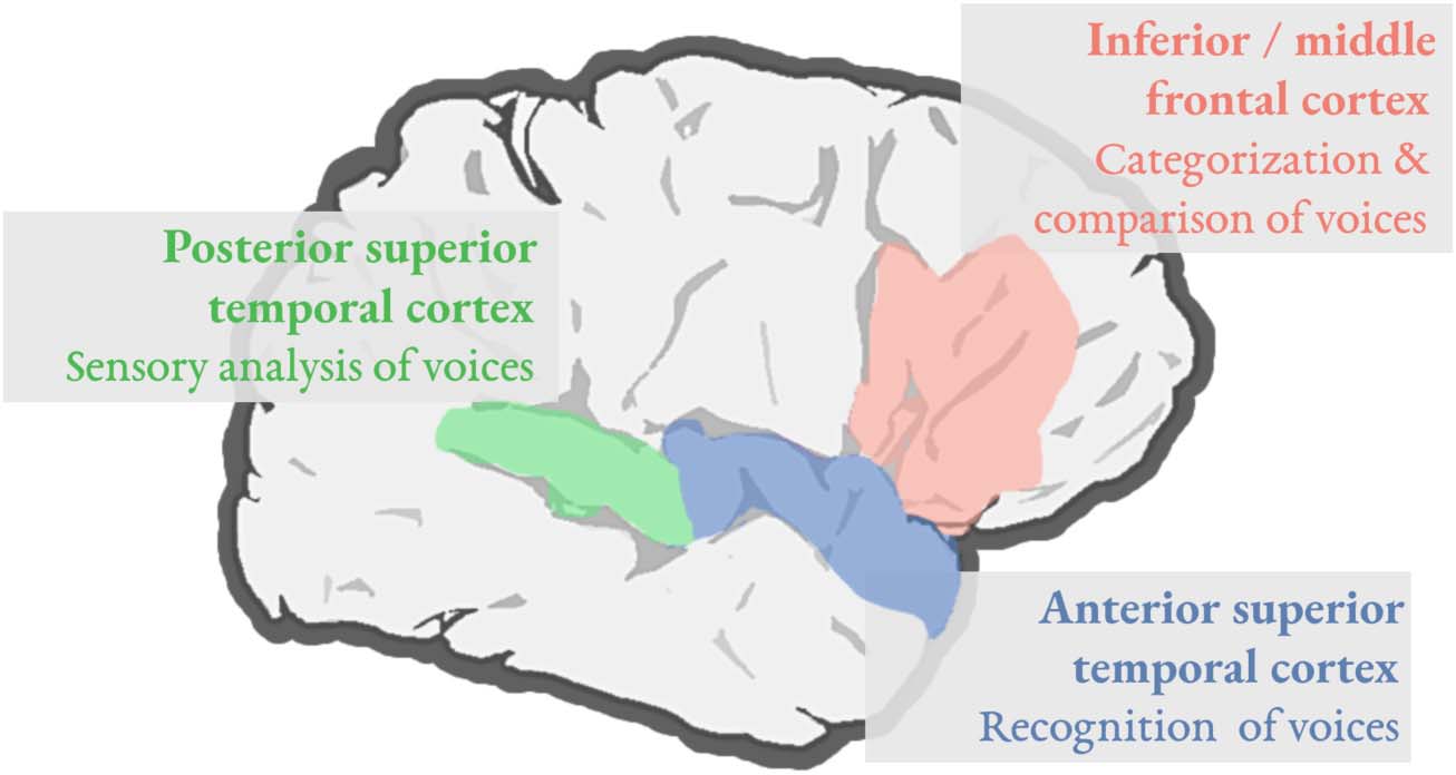 REVIEW ARTICLE image