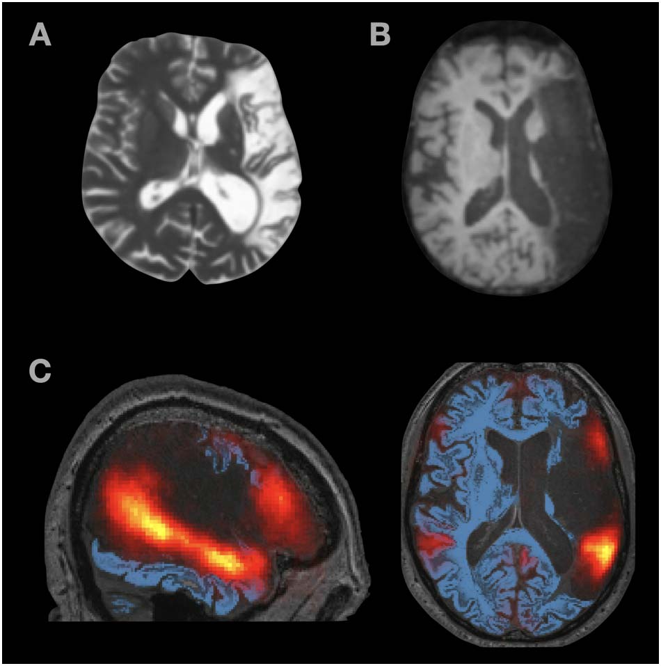 ARTÍCULO DE INVESTIGACIÓN imagen