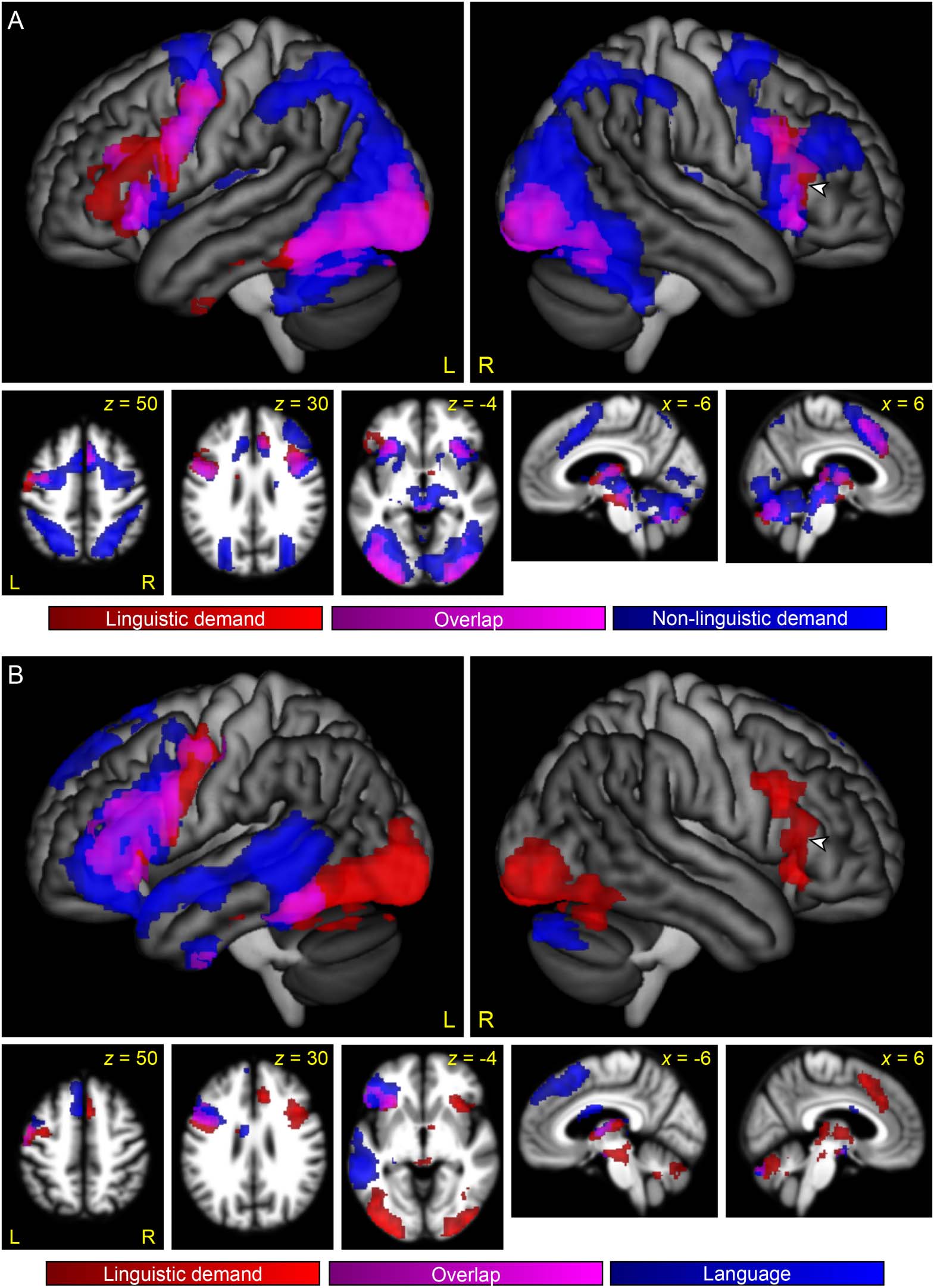 RESEARCH ARTICLE image