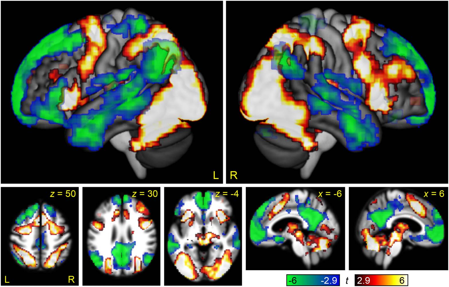 RESEARCH ARTICLE image