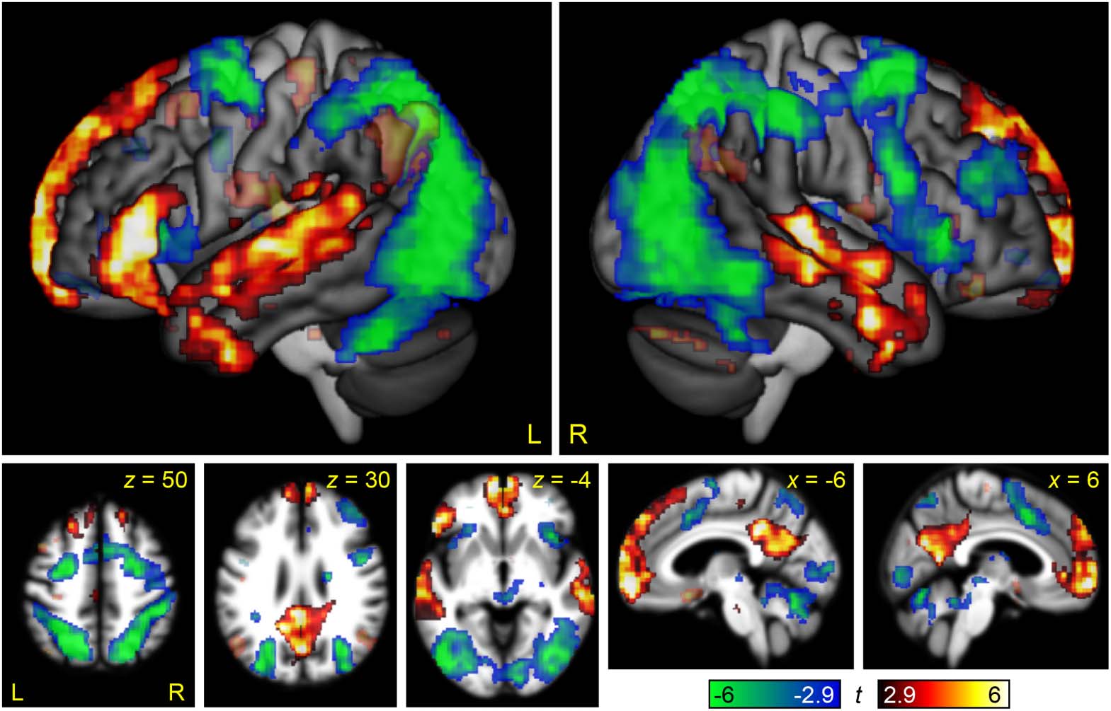 RESEARCH ARTICLE image