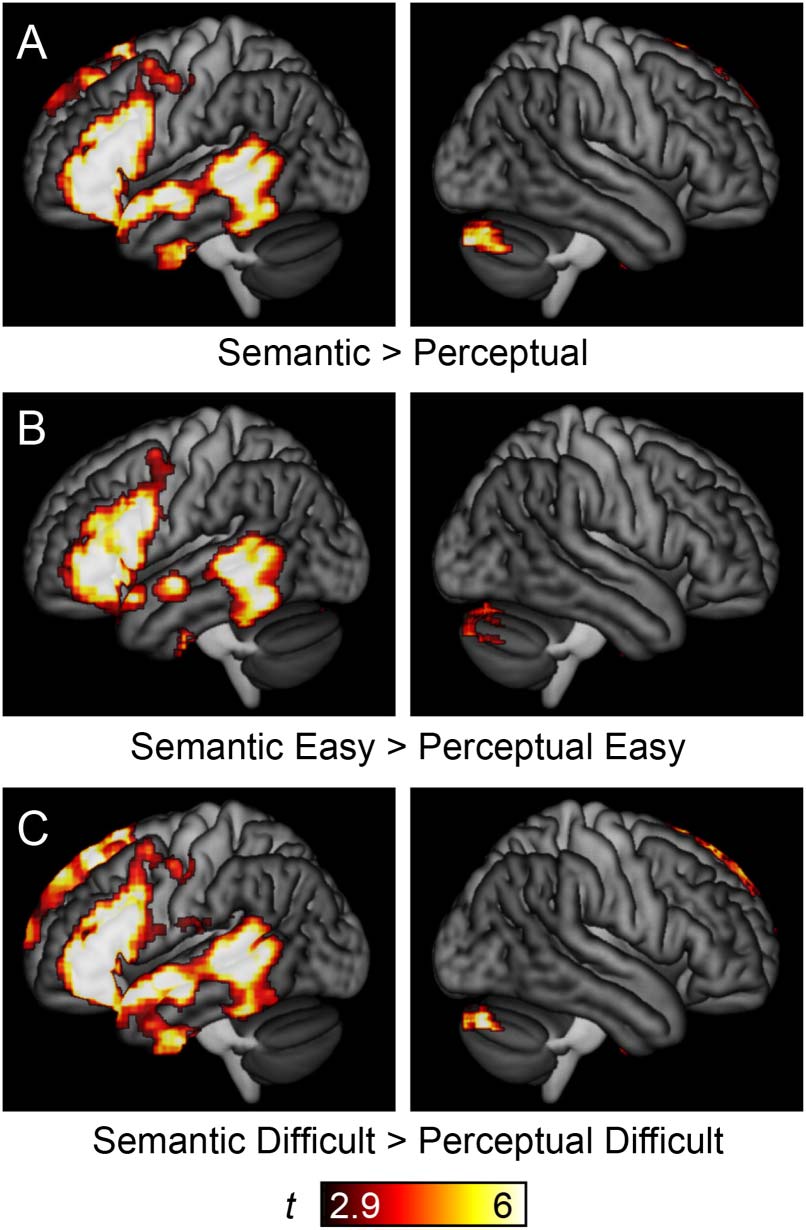 RESEARCH ARTICLE image