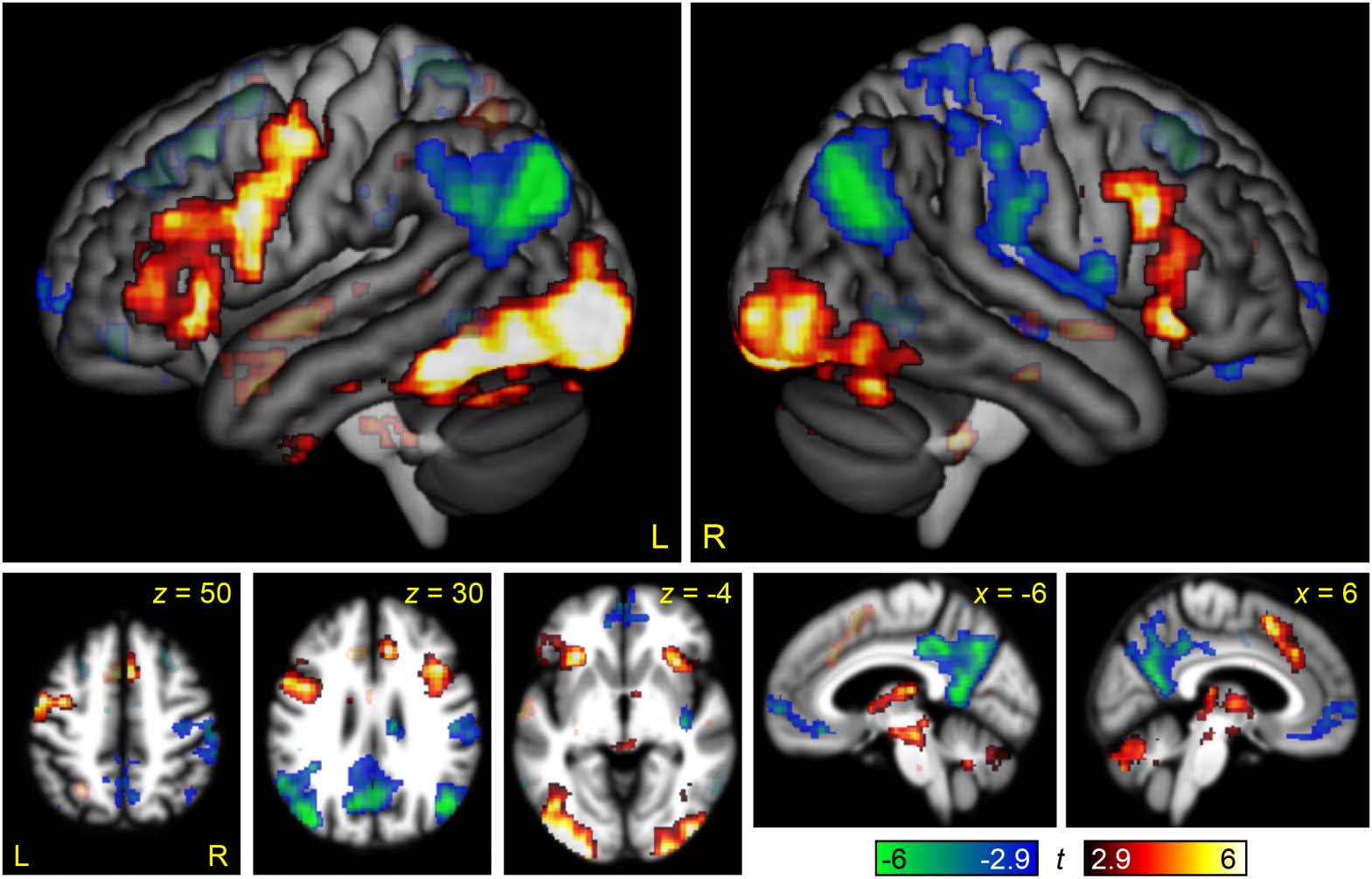 RESEARCH ARTICLE image