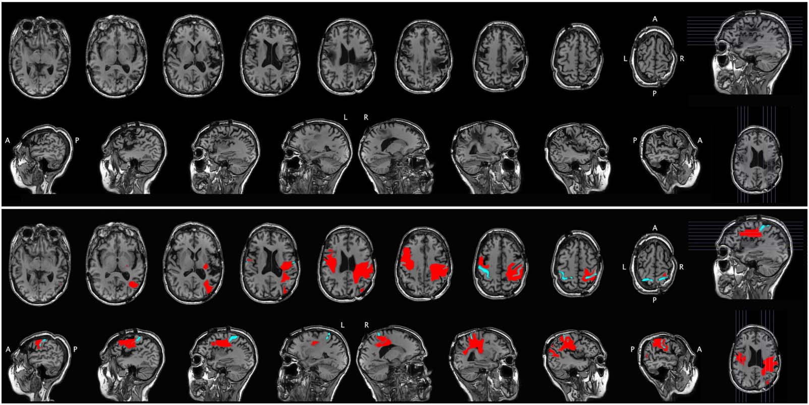 ARTÍCULO DE INVESTIGACIÓN imagen