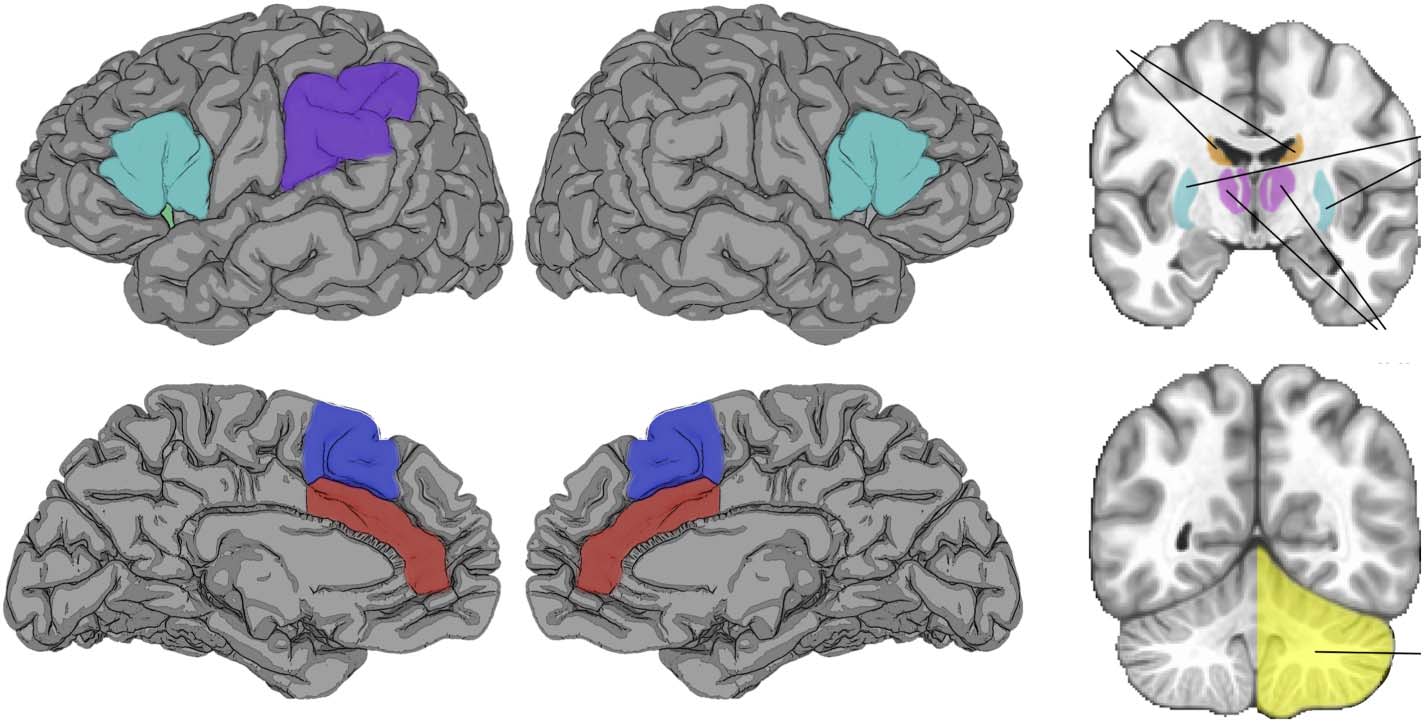 REVIEW ARTICLE image