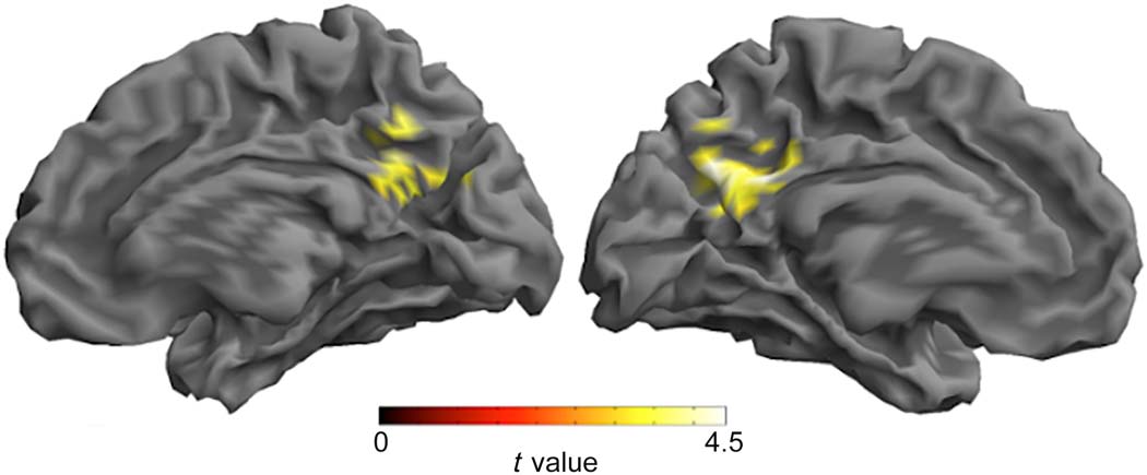 RESEARCH ARTICLE image