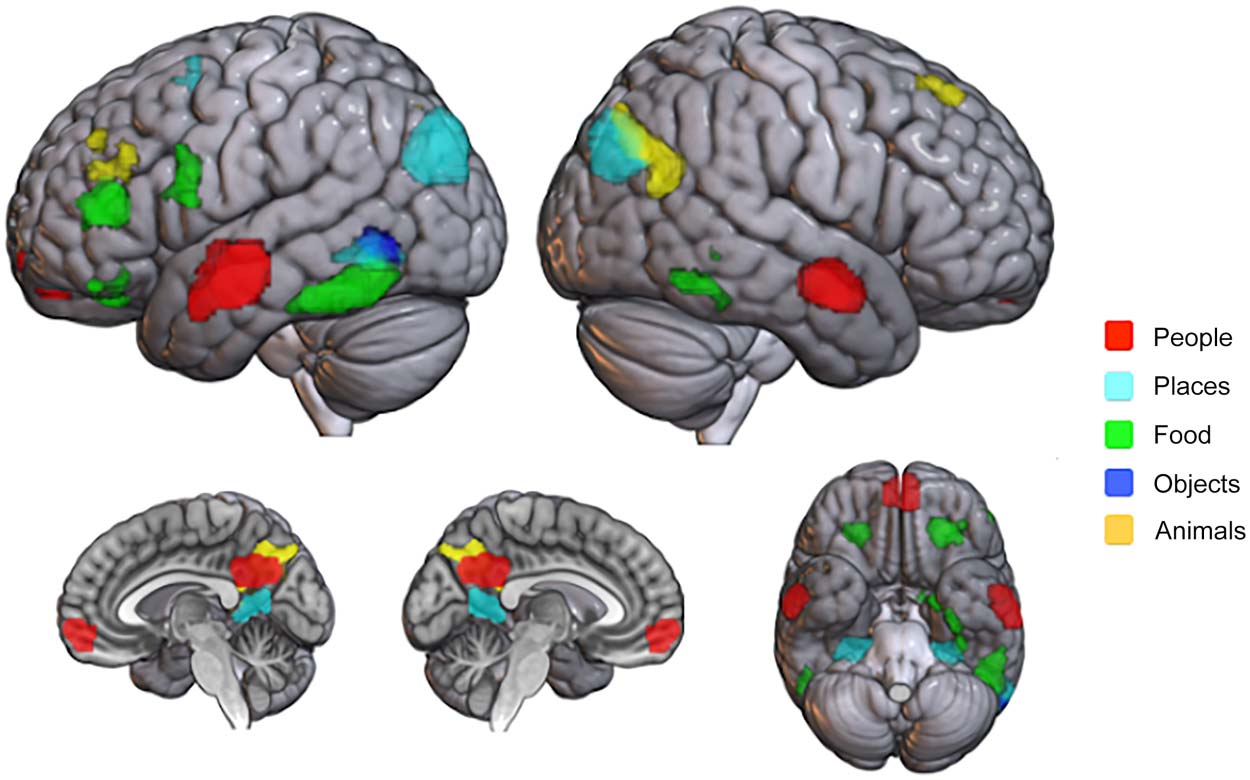 RESEARCH ARTICLE image