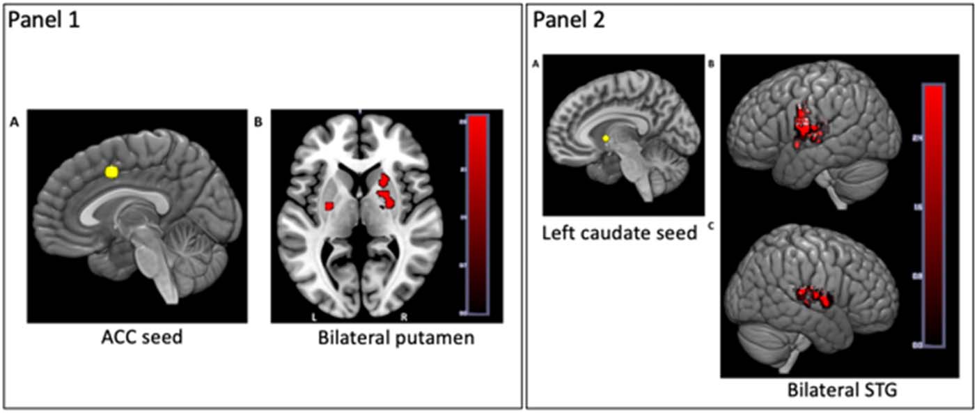 REVIEW ARTICLE image