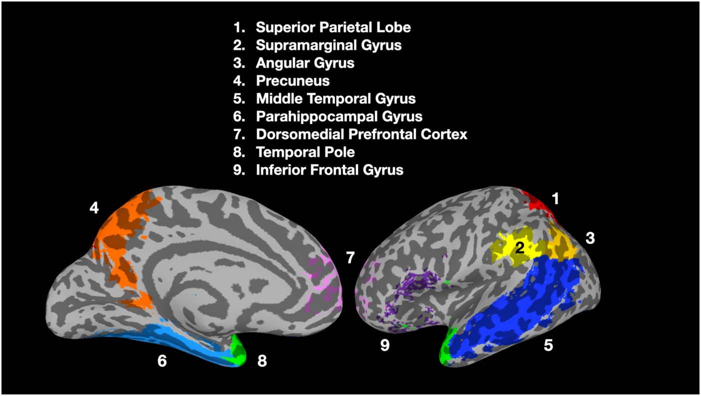 RESEARCH ARTICLE image