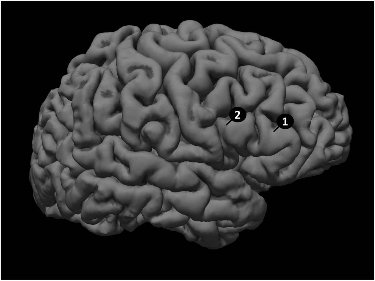 ARTÍCULO DE INVESTIGACIÓN imagen