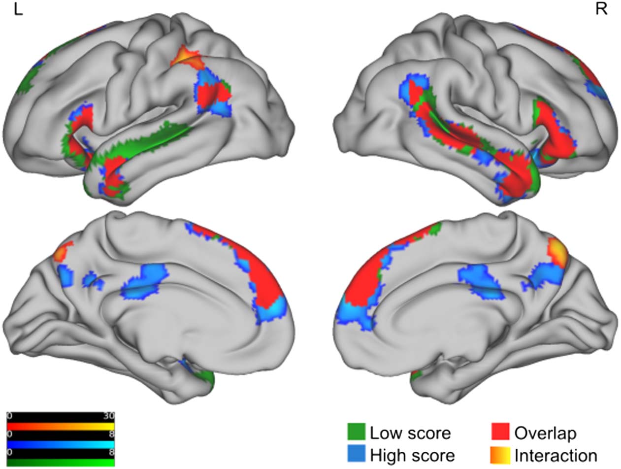 RESEARCH ARTICLE image