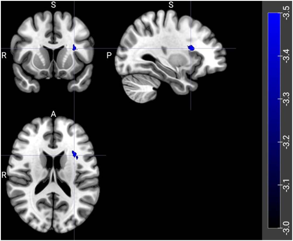 ARTÍCULO DE INVESTIGACIÓN imagen