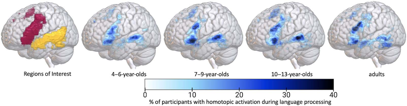 RESEARCH ARTICLE image