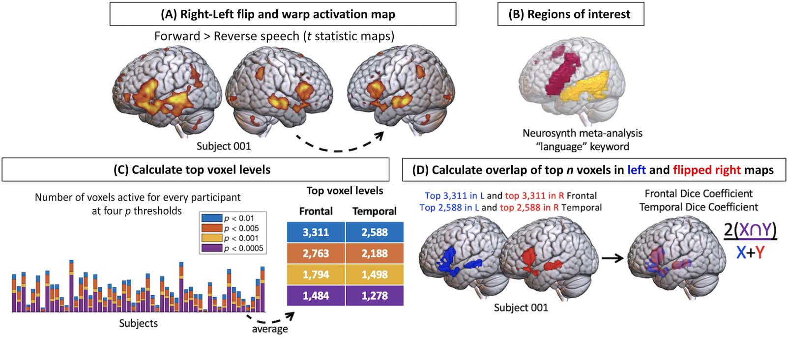 RESEARCH ARTICLE image