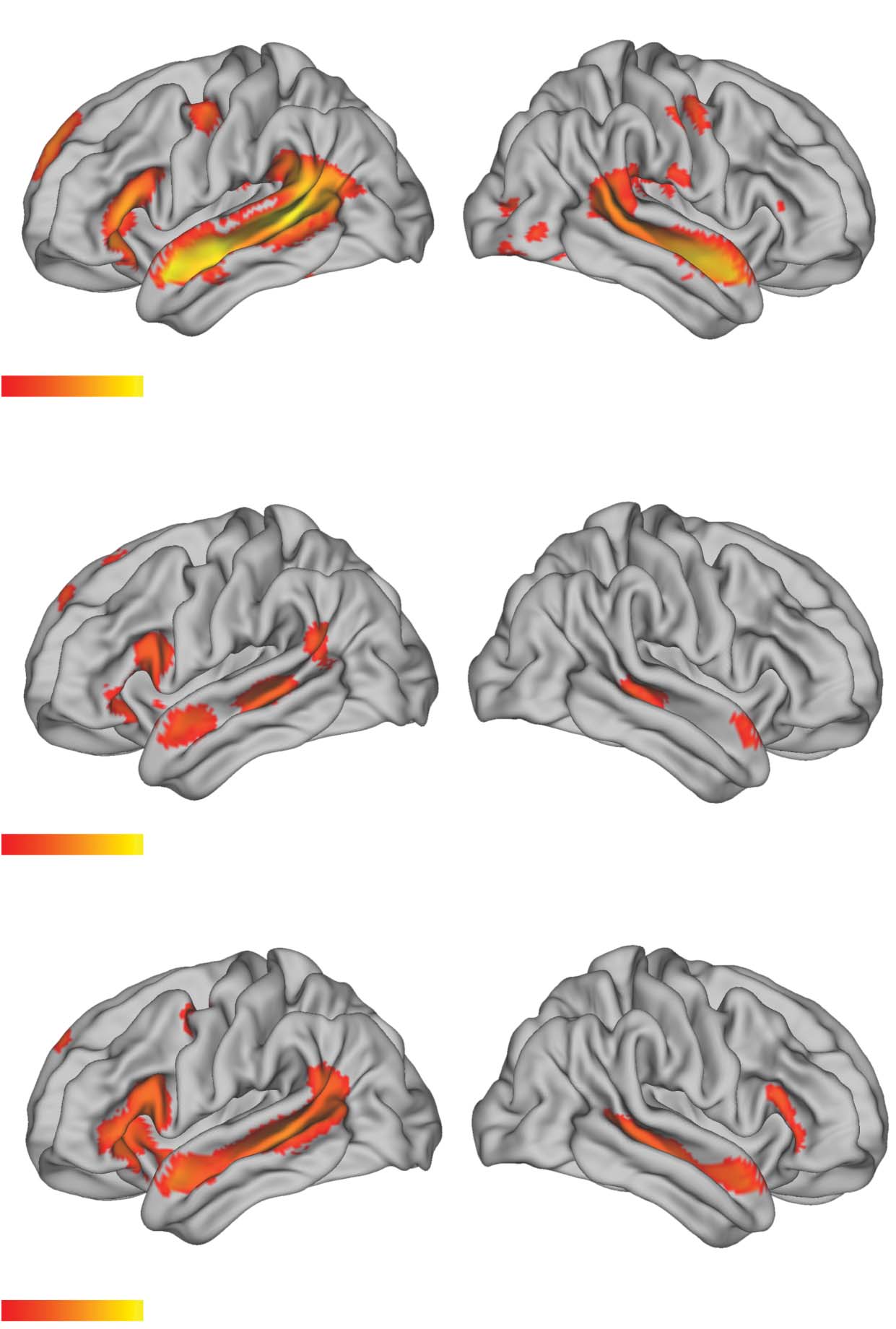 RESEARCH ARTICLE image