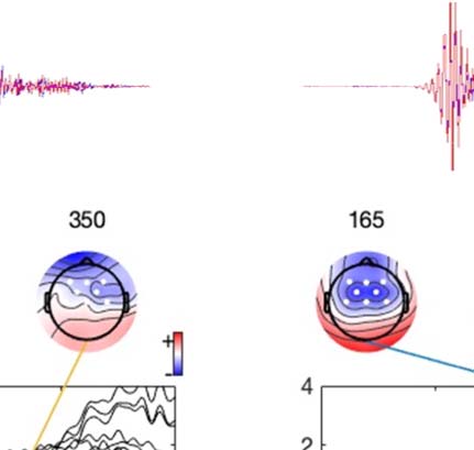 RESEARCH ARTICLE image