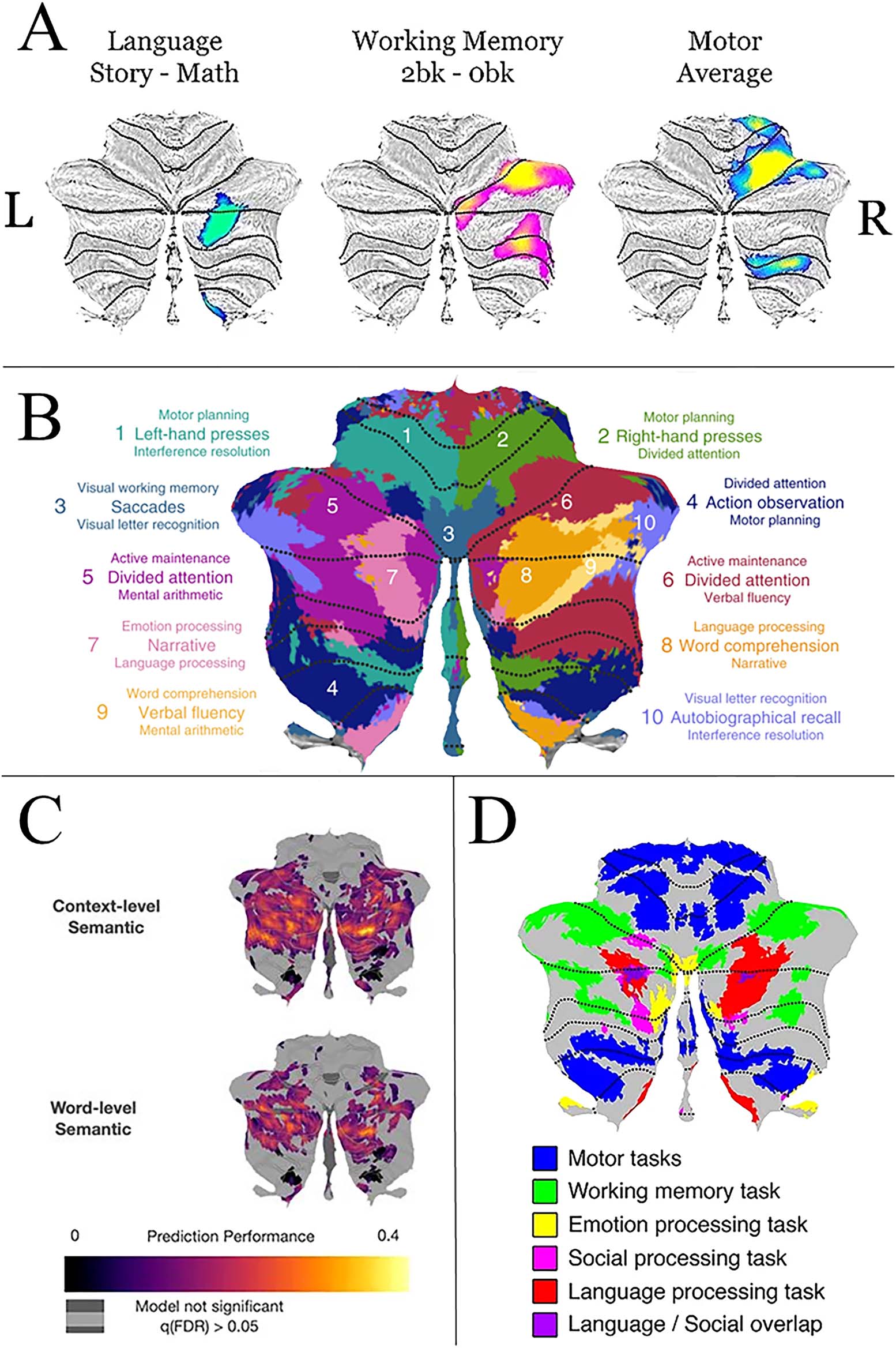 SPECIAL ISSUE: imagen