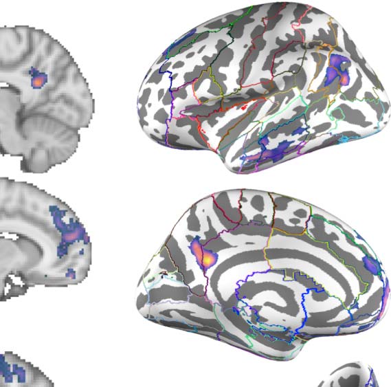 ARTÍCULO DE INVESTIGACIÓN imagen