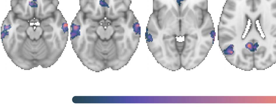 ARTÍCULO DE INVESTIGACIÓN imagen