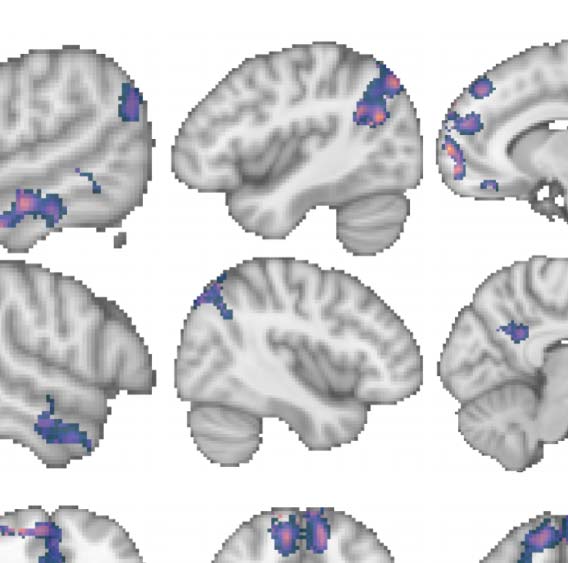 ARTÍCULO DE INVESTIGACIÓN imagen