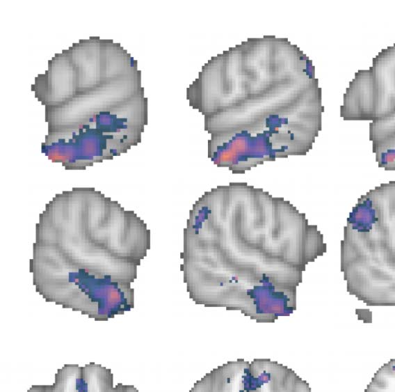 ARTÍCULO DE INVESTIGACIÓN imagen