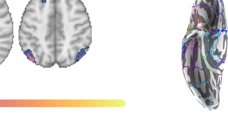 ARTÍCULO DE INVESTIGACIÓN imagen