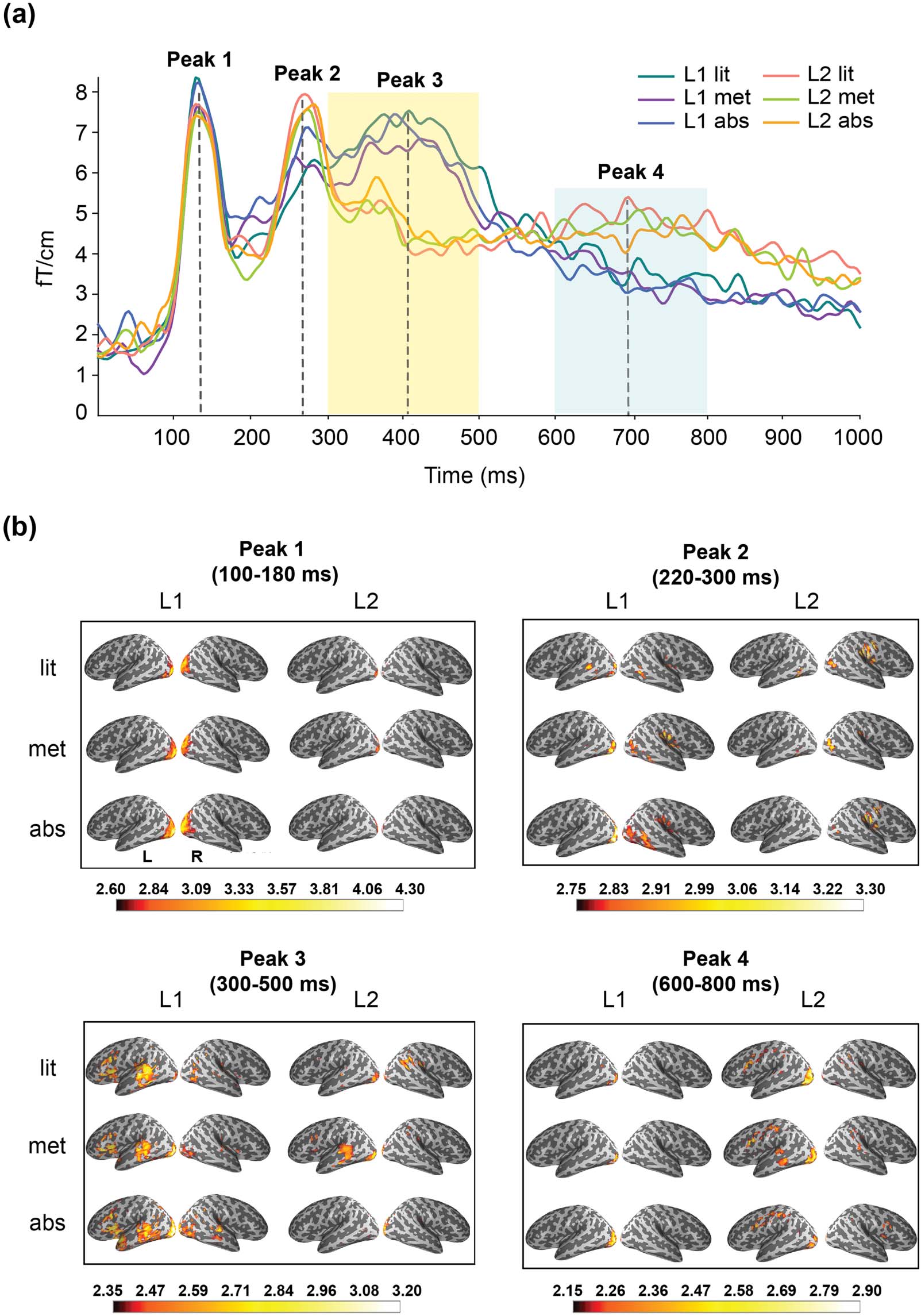 RESEARCH ARTICLE image