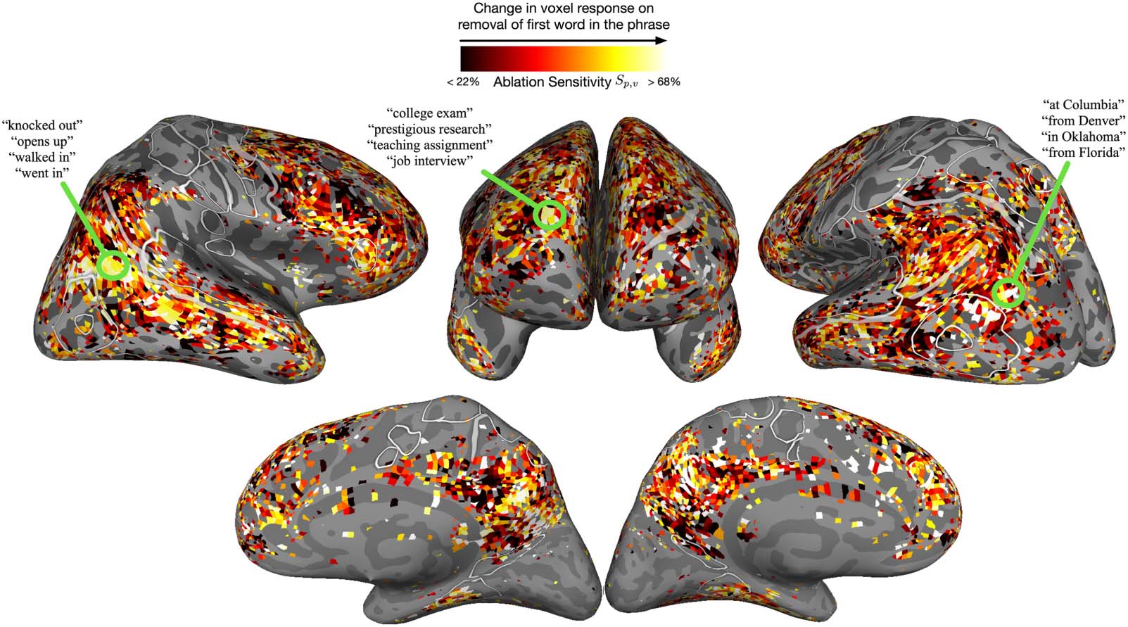 SPECIAL ISSUE: imagen