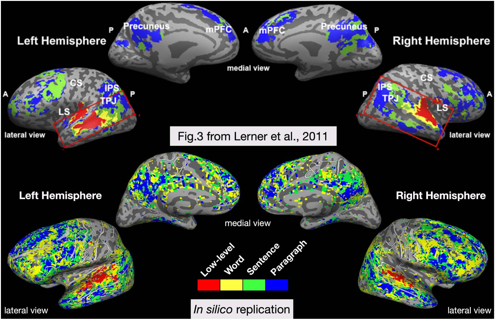 SPECIAL ISSUE: imagen