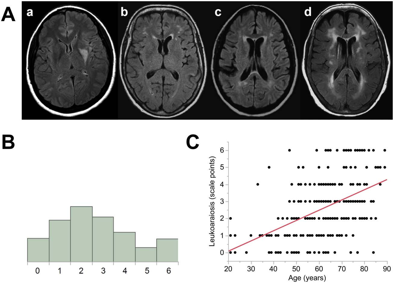 RESEARCH ARTICLE image