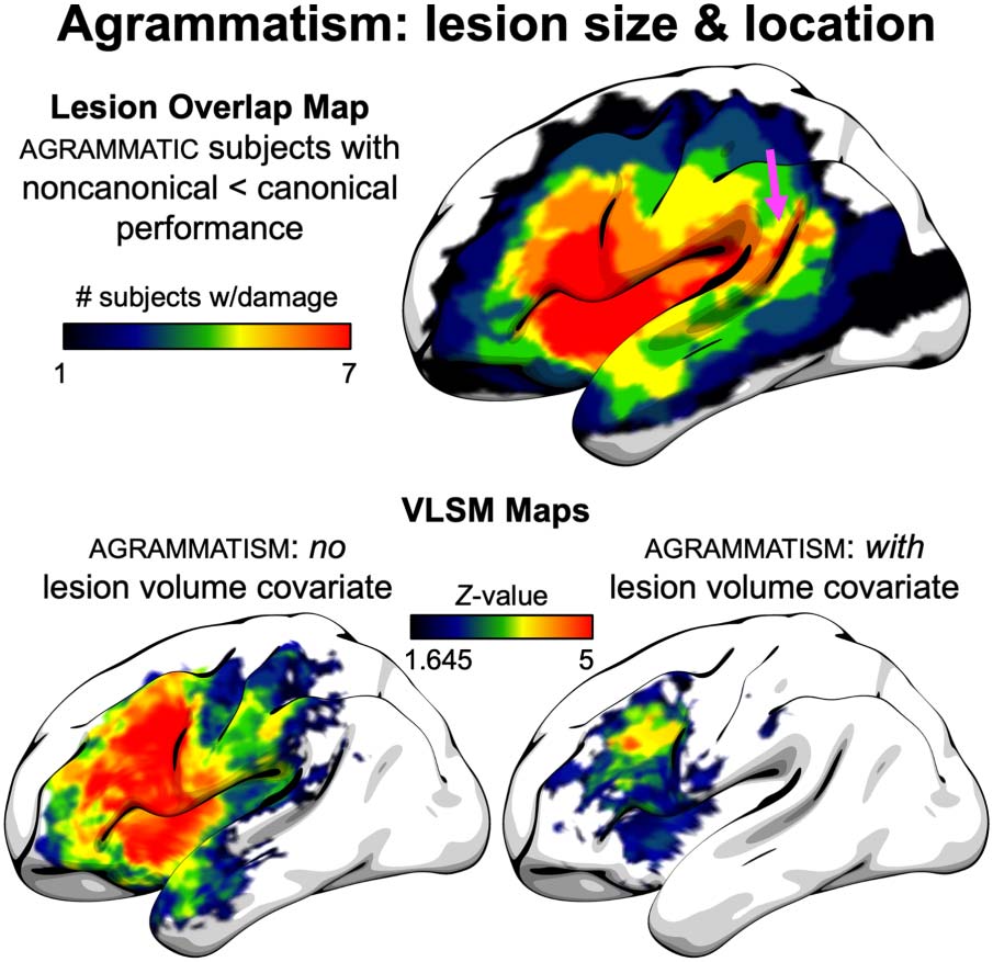 RESEARCH ARTICLE image