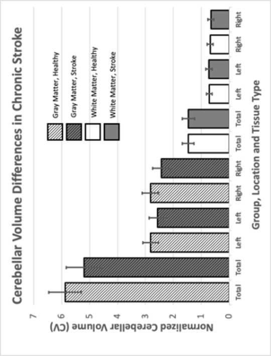 Newman-Norlund, R., Gibson, M., Johnson, L., Teghipco, A., Rorden, C., Bonilha, L., & Fridriksson, J. (2023). Bild