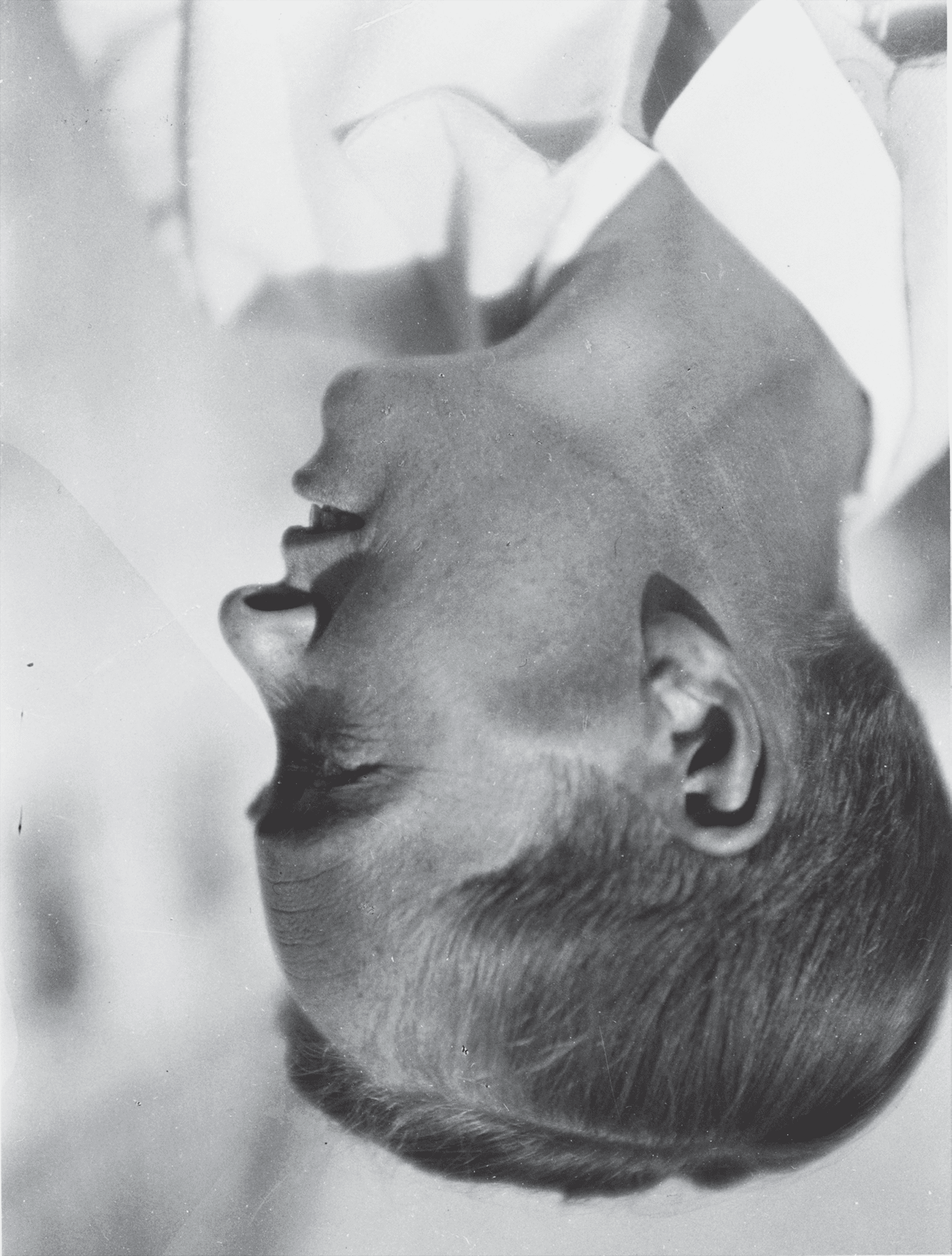 Lucia Moholy. Hands Peeling Potatoes. C. 1930. image