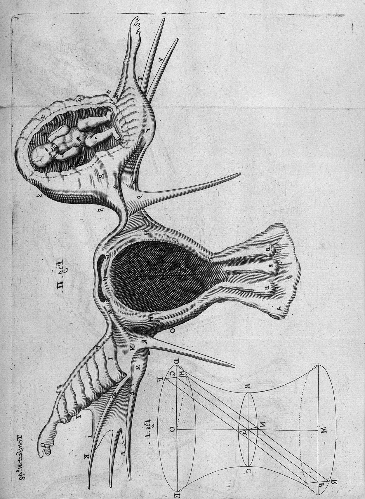 Newton’s Telescope in image