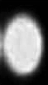 Kepler’s Optical Part of image