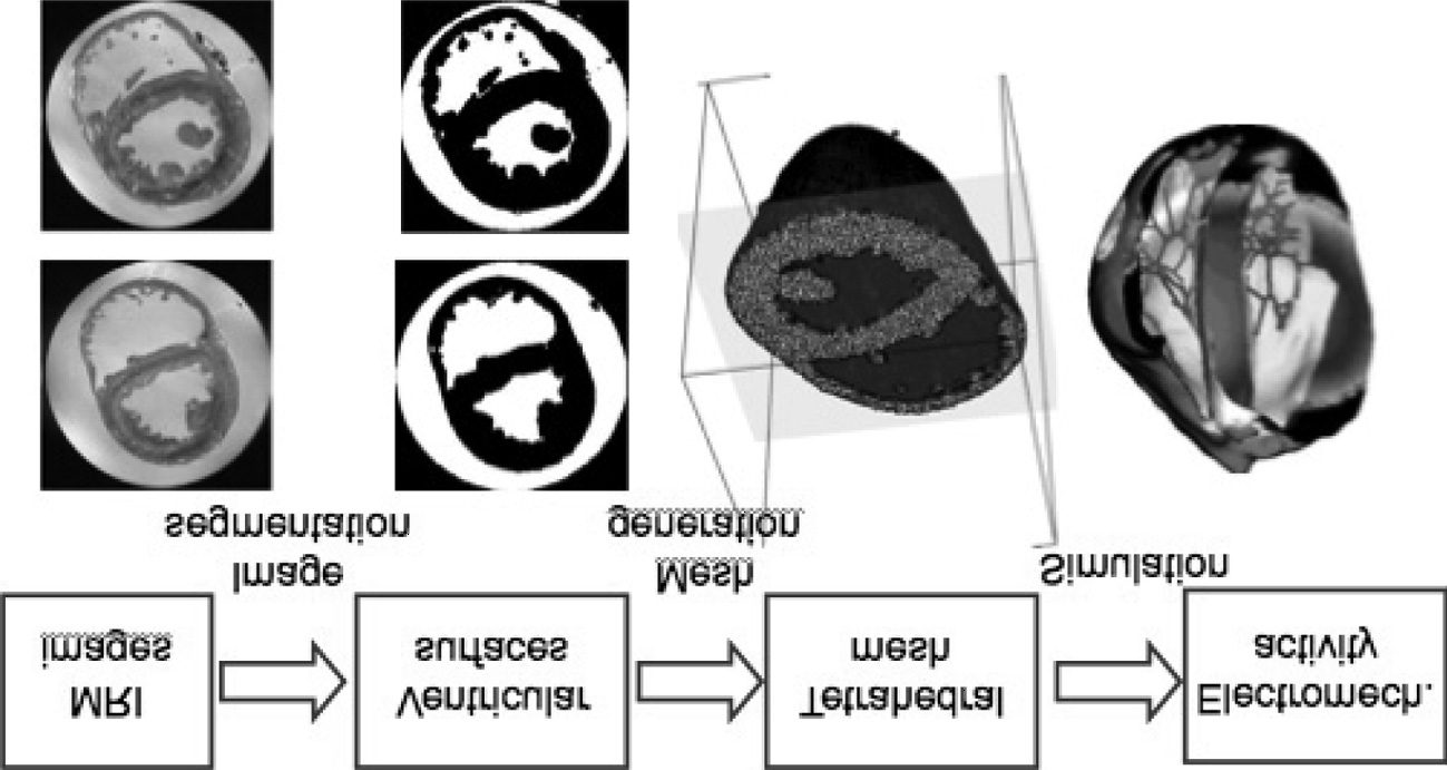 Computational Biology image