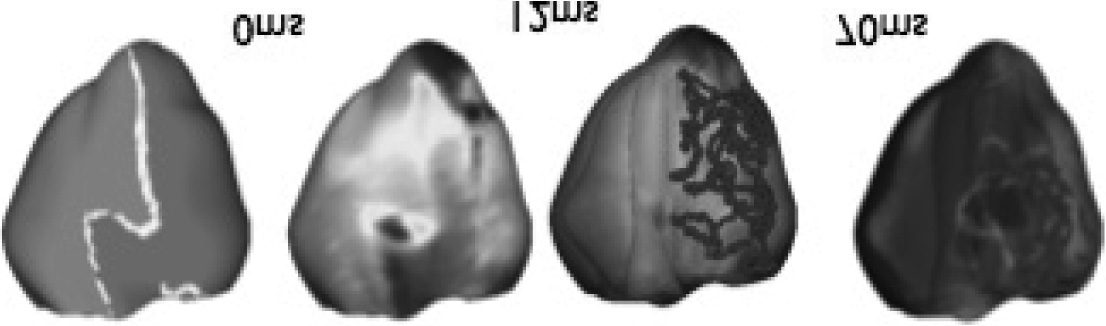 Computational Biology image