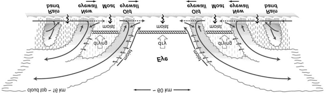 Simulation and image